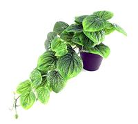 Leaf Design UK Plante Artificielle réaliste en Pot Vert 35 cm
