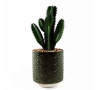 Leaf Design UK Plante Cactus réaliste dans Un Pot en céramique 23 cm
