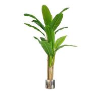 Leaf Design UK Plantes et Arbres tropicaux artificiels avec Pots en métal Vert 180 cm