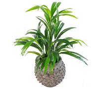 Leaf Grande Plante Artificielle en Bambou 65 cm