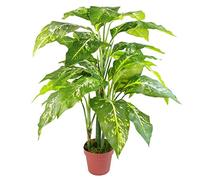 Leaf Grande Plante Artificielle en Forme de Renard avec Pot en Plastique Uni 100 cm