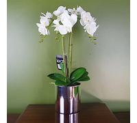 Leaf Orchidée Artificielle Blanc/argenté 52 cm