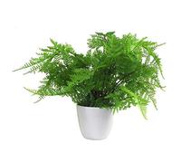 Leaf Plante Artificielle avec Pot fougère 30 cm