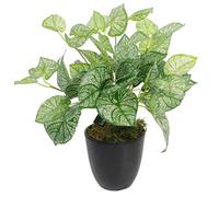 Leaf Plante Artificielle en Caladium avec Pot 40 cm