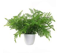 Leaf Plante de fougère Artificielle réaliste 30 cm