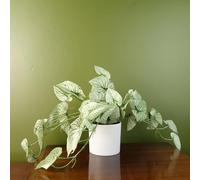 Leaf Plantes artificielles de Bureau réalistes