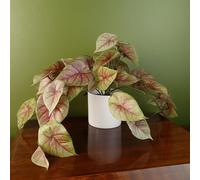 Leaf Plantes artificielles de Bureau réalistes