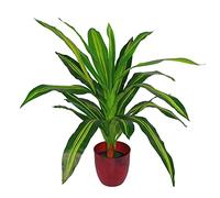 Leaf Plantes artificielles Tropicales Design