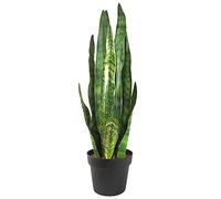 Leaf Plantes artificielles Tropicales Sansevieria Zeylanica 70 cm