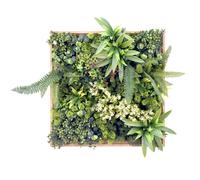 LEAFLUXE WALL 1 - Tapis végétal Vert
