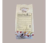 Leagel 1,25 kg EASY Gelato Taste Rouge Orange Curcuma Piment Piment Préparé en Poudre pour Glaces et Pâtisseries