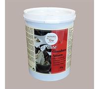 Leagel 1,5 kg Préparé en Pâtisserie au Goût Amer Gianduia pour Pâtisserie, Glaces et Desserts Sans Gluten