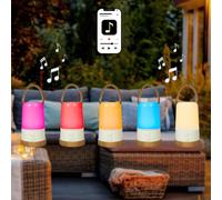 LEALIGHT blachere illumination Lampe enceinte bluetooth changement de couleur - rechargeable USB-C