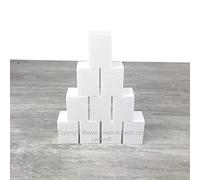 Lealoo Lot 10 Petits pavés en polystyrène Haut. 7cm x 5x5 cm, Blocs en Styropor Blanc à décorer