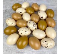 Lealoo Lot 24 Oeufs en Plastique Nuancier Naturel, 6 cm de Haut, Non séparables, idéal pour la Chasse de pâques