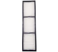 Leankle Projecteur Filtre à Air Remplacement pour Epson ELPAF46/ V13H134A46, EB-L1050U, EB-L1065U, EB-L1070, EB-L1075U, EB-PU1006W, EB-PU1007W, EB-PU1008W, EB-PU2010B, EB-Z10000U, EB-Z10005U