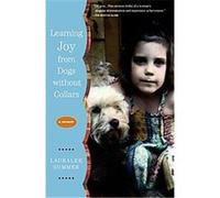 Learning Joy from Dogs Without Collars Lauralee Summer (Auteur)