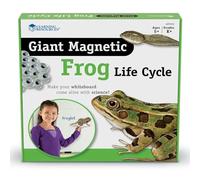 Learning Resources Cycle de la Vie d'une Grenouille en aimants géants