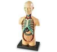 Learning Resources Human Body Model