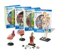 Learning Resources Kit de modèles anatomiques