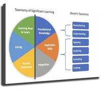 Learning Theory Taxonomy of Significant Learning Poster Educational Wall Art Home Office Classroom Canvas(Unframed,16x24inch(40x60cm))