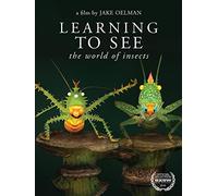 Learning to See: The World of Insects