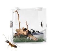 LearnLyrics Boîte d'élevage - Enclos portable en acrylique, boîte d'alimentation inséct | Boîte de ventilation portable en métal pour reptile en acrylique pour araignée, lézard, scorpion, mille-pattes