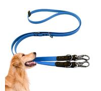 LearnLyrics Laisse pour Chien - Laisse d'attache de Corde de Traction en PVC imperméable - Laisse de Marche protectrice en PVC, câble d'attache pour Chien pour Chiens à l'extérieur jusqu'à 220 LB