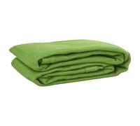 Leasha Tapis d'auvent avec œillets, Tapis de Sol pour Tente Camping Caravane Camping-Car Vert Clair 250x300 cm PEHD