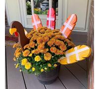 Leasote Piquets de dinde décoratifs d'extérieur en PVC multicolore pour Thanksgiving, patio, pelouse, jardin, automne, récolte