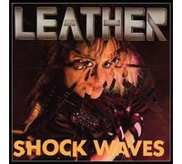 Shock Waves