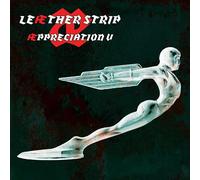 Leather Strip - Æppreciation V