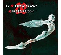 Leather Strip - Æppreciation V