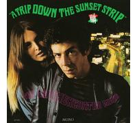 Leathercoated Minds - A Trip Down the Sunset..