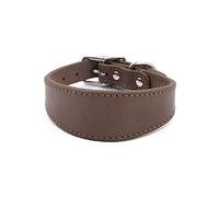 Leathers Collier rembourré doux pour whippets salukis lévriers Collier réglable pour chiens de grande race