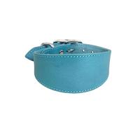 Leathers Collier rembourré doux pour whippets salukis lévriers Collier réglable pour chiens de grande race