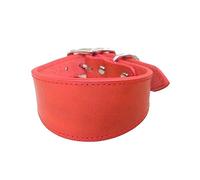 Leathers Collier rembourré doux pour whippets salukis lévriers Collier réglable pour chiens de grande race