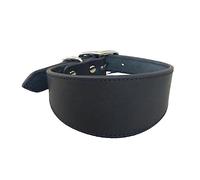 Leathers Collier rembourré doux pour whippets salukis lévriers Collier réglable pour chiens de race