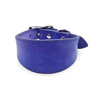 Leathers Collier rembourré doux pour whippets salukis lévriers Collier réglable pour chiens de race