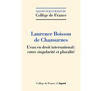 L'eau en droit international : entre singularité et pluralité