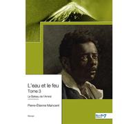 L'eau et le feu - Tome 3 - Pierre-Etienne Maincent - Nombre 7 - broché - Roman