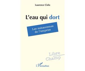 L'eau qui dort Les mécanismes de l’emprise - Laurence Cielo - L'harmattan - broché - Roman