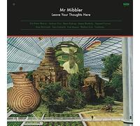 Leave Your Thoughts Here