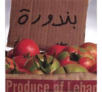 Lebanese Compilation - Banadoura