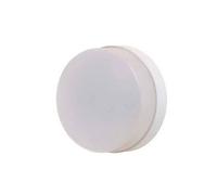 LEBENOID - Hublot extérieur Fluo 1X9W Ø 250mm Blanc Polycarbonate Lampe 4000K 2G7 Ballast elec CL2 IK08 IP44 Espace EBENOID 078727