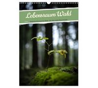 Lebensraum Wald (Wandkalender 2026 DIN A3 hoch), CALVENDO Monatskalender: Ein Jahr voller magischer Momente im Wald, festgehalten in wunderschönen Aufnahmen.