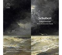 Duo Pleyel – Lebensstürme : Musique pour piano à quatre mains – CD