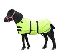 Leberna Tapis d'hiver pour poulain et mini cheval - Couverture 300D respirante pour cheval de sevrage miniature avec bande ventrale (garnissage 150 g) (jaune fluo, taille L (1,9 m à 1,2 m)