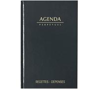 Generique Agenda perpétuel Recettes-Dépenses Journalier 14x22 cm Couverture rigide Noire