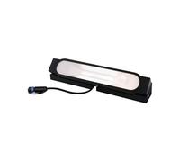 Lèche-mur LED Paulmann Plug & Shine Ito 6,1 W 3000 K anthracite | Orientable, IP67, lumière blanche chaude, piquet à planter pour les sols meubles, idéal pour les espaces extérieurs